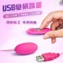 網愛族必備 USB 10段變頻 震動跳蛋 標準款 即插即用快感跳蛋